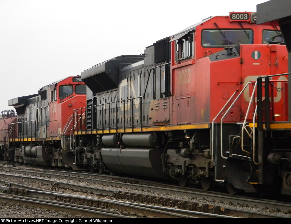 CN 8003 